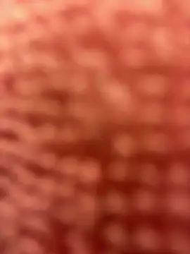 Snapshot of BigFineSelena chatting on January 2025 03:09:02 PM BigFineSelena online show from January 2025 03:09:02 PM