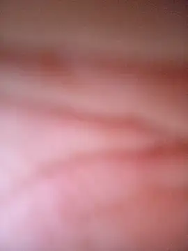 CASADASIGILO2 online show from November 2025 11:03:01 PM