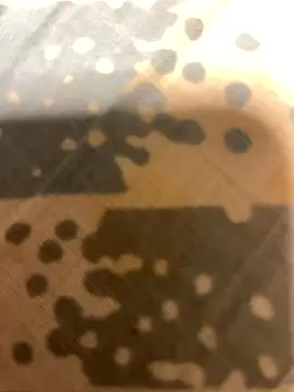 Snapshot of fep84 chatting on March 2026 04:49:02 AM fep84 online show from March 2026 04:49:02 AM