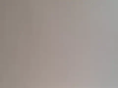 Snapshot of highstepper500 chatting on December 2024 05:05:01 PM highstepper500 online show from December 2024 05:05:01 PM