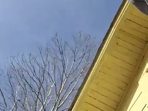 Snapshot of highstepper500 chatting on December 2024 05:15:01 AM highstepper500 online show from December 2024 05:15:01 AM