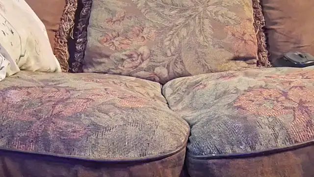 Snapshot of highstepper500 chatting on October 2025 06:35:02 AM highstepper500 online show from October 2025 06:35:02 AM