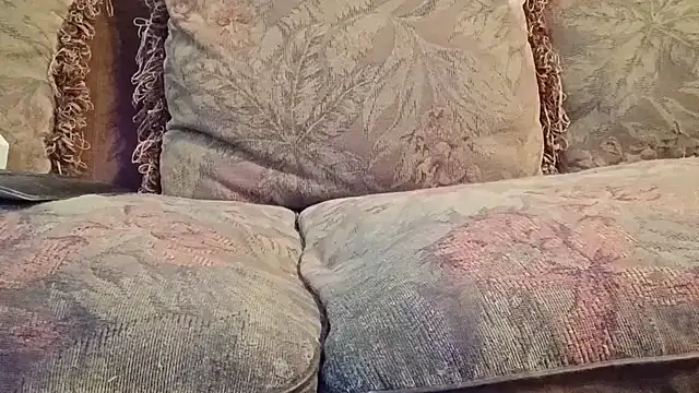 Snapshot of highstepper500 chatting on November 2025 02:27:01 PM highstepper500 online show from November 2025 02:27:01 PM