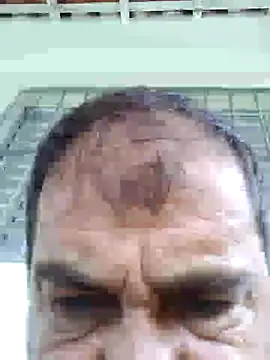 Peludo173317 online show from January 2025 01:42:01 PM