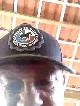 Peludo173317 online show from February 2025 01:40:01 PM