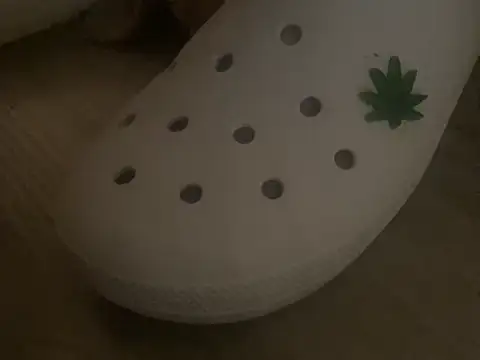 sexfaex online show from October 2025 08:47:01 AM