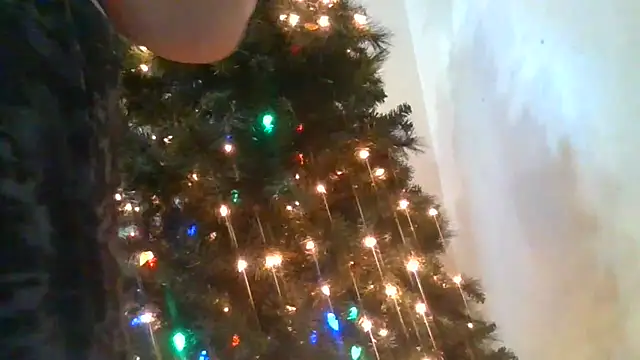 Snapshot of Hornybbw1978 chatting on December 2024 11:38:02 PM Hornybbw1978 online show from December 2024 11:38:02 PM