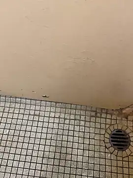 DreamerAsianGuy online show from December 2024 12:16:01 AM