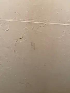 DreamerAsianGuy online show from January 2025 03:50:02 AM