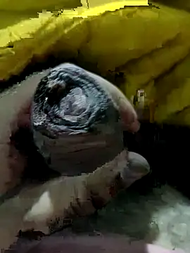 Snapshot of wrong_man25 chatting on October 2025 03:22:02 PM wrong man25 online show from October 2025 03:22:02 PM