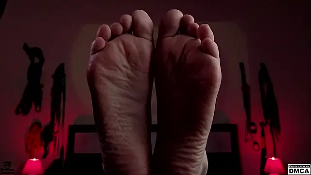 Amanita  Pantherina online show from March 2025 10:32:01 AM