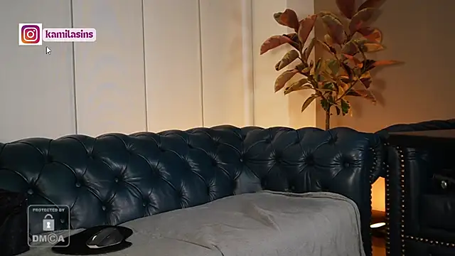 Snapshot of kamila_sins chatting on March 2025 08:33:02 PM kamila sins online show from March 2025 08:33:02 PM