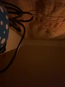 Snapshot of SexSanich chatting on November 2025 04:02:02 AM SexSanich online show from November 2025 04:02:02 AM