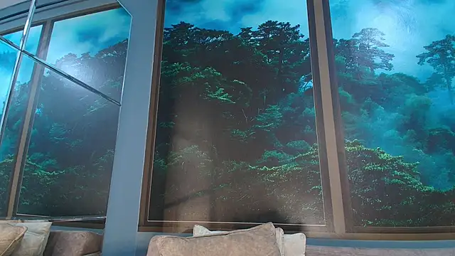 Snapshot of JONAS_SMITH_ chatting on February 2025 06:29:02 PM JONAS SMITH online show from February 2025 06:29:02 PM