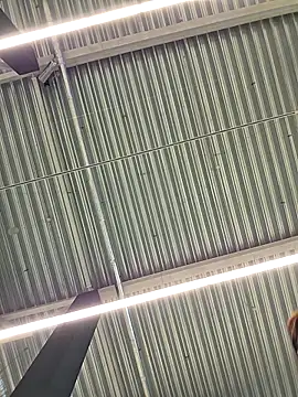 LeticiaWoods online show from October 2025 12:28:02 PM