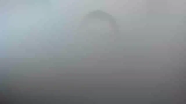 smile sweetpao online show from February 2025 10:31:01 PM