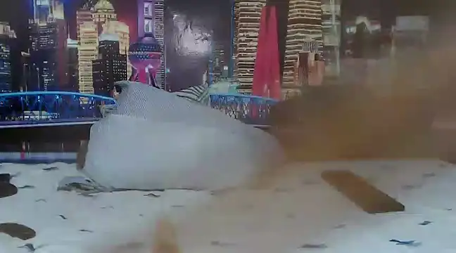 Sara castillo1 online show from March 2025 11:51:01 AM