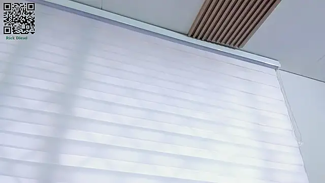 Rick Diesel  online show from March 2025 11:41:01 AM