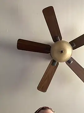 QueenNuttCollector online show from April 2026 06:13:02 PM