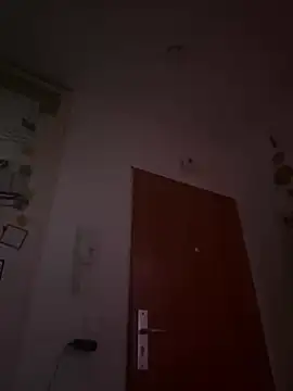 Toyjungee online show from December 2024 01:03:01 PM