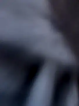 Snapshot of Fellix chatting on December 2024 11:44:01 AM Fellix online show from December 2024 11:44:01 AM