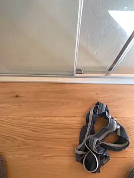 Snapshot of Fellix chatting on March 2025 02:53:02 PM Fellix online show from March 2025 02:53:02 PM