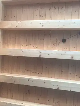 Snapshot of Fellix chatting on March 2025 11:23:01 AM Fellix online show from March 2025 11:23:01 AM