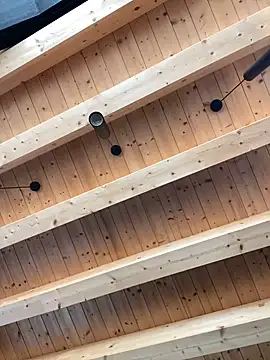 Snapshot of Fellix chatting on November 2025 11:22:02 AM Fellix online show from November 2025 11:22:02 AM