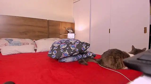 emily adams01 online show from February 2025 12:43:01 AM