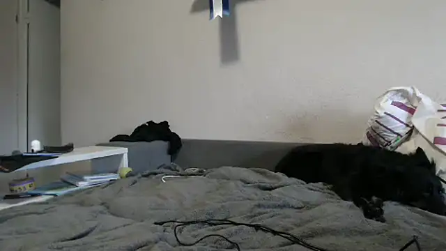 delightful sofi online show from October 2025 02:26:01 PM