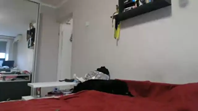 delightful sofi online show from November 2025 12:27:01 PM