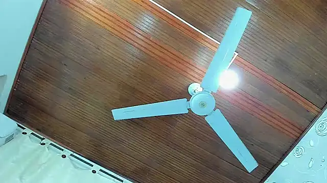 luna evaa online show from January 2025 05:12:02 PM