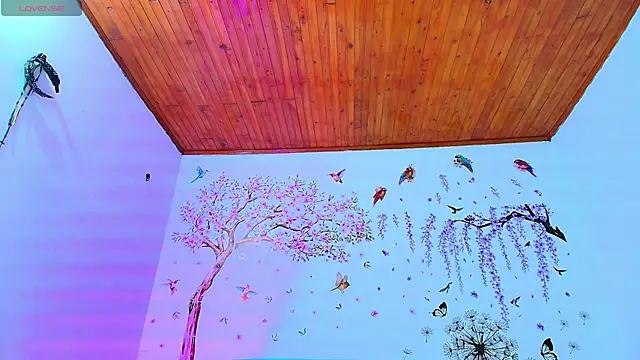 Sofiia Diiaz online show from February 2026 12:35:02 PM