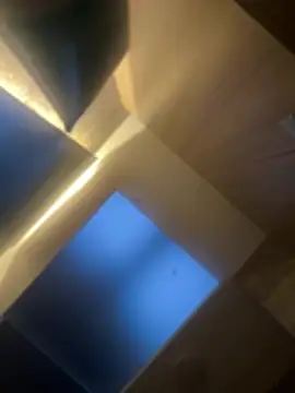 CeliWoods online show from February 2026 11:13:01 AM