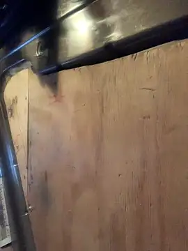 Likewise online show from February 2026 05:49:02 PM