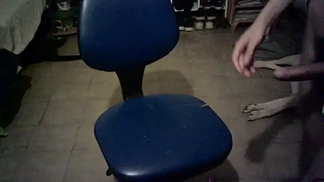 Emv2 online show from December 2024 05:42:01 AM