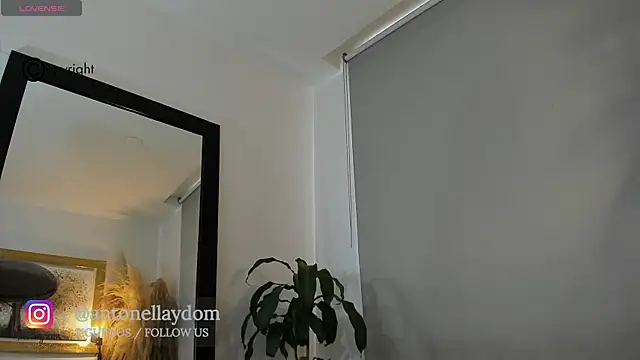 antonella dom1 online show from October 2025 10:21:02 PM