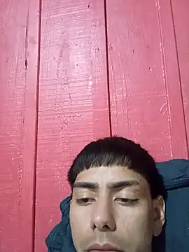 Snapshot of SEBASTHIAN chatting on April 2026 01:14:02 AM SEBASTHIAN online show from April 2026 01:14:02 AM