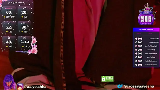 Snapshot of CrossyAayesha chatting on November 2025 04:40:02 PM CrossyAayesha online show from November 2025 04:40:02 PM