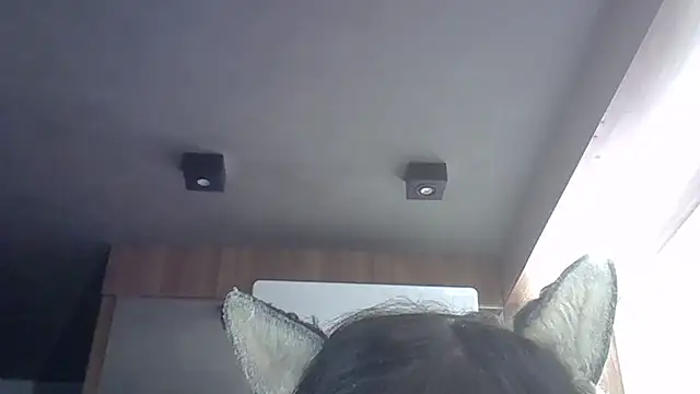 Skinny-Kitten online show from May 2026 03:06:01 PM