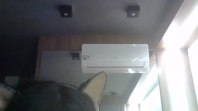 Snapshot of Skinny-Kitten chatting on June 2026 11:35:02 PM Skinny-Kitten online show from June 2026 11:35:02 PM