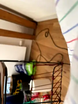 la chiennete online show from September 2025 01:05:01 PM