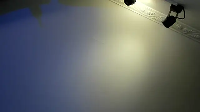 Snapshot of Apotheosis01 chatting on December 2024 08:15:01 PM Apotheosis01 online show from December 2024 08:15:01 PM