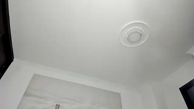 Snapshot of Apotheosis01 chatting on November 2025 09:31:01 AM Apotheosis01 online show from November 2025 09:31:01 AM