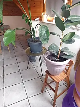 Isabellaa04 online show from May 2026 11:17:01 AM