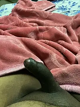 Snapshot of Honeydick7 chatting on February 2025 05:53:02 PM Honeydick7 online show from February 2025 05:53:02 PM