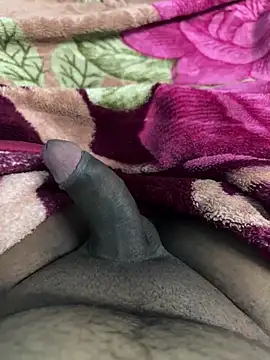 Snapshot of Honeydick7 chatting on November 2025 06:07:02 PM Honeydick7 online show from November 2025 06:07:02 PM