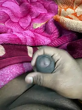 Snapshot of Honeydick7 chatting on February 2026 06:33:01 PM Honeydick7 online show from February 2026 06:33:01 PM