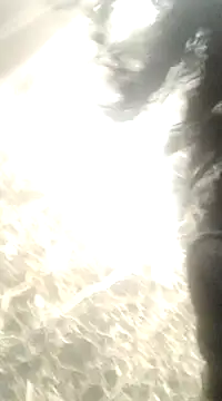 EllaViceX online show from December 2024 07:26:02 AM