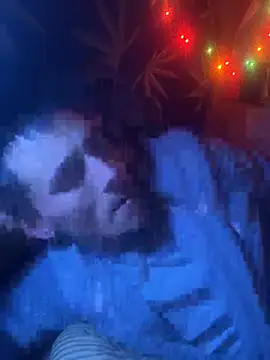 bugboy online show from February 2026 06:06:01 AM